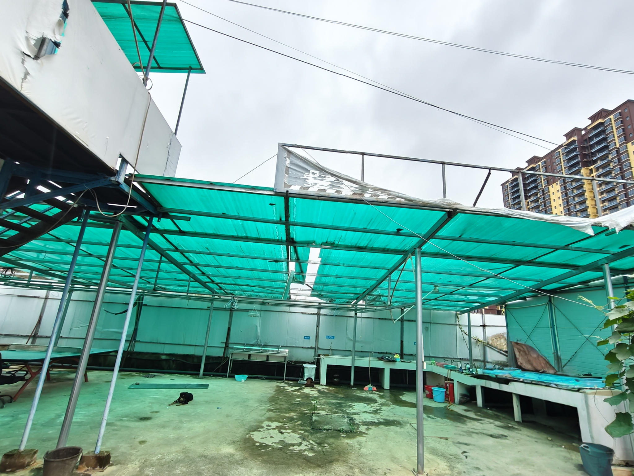 灵山2026年5月集装箱与商品房优缺点大PK，哪个更适合你？
